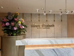 Mount Elizabeth Hospital (D9), Retail #592351671
